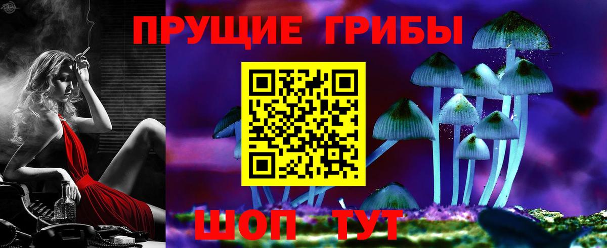 Тимашёвск  Псилоцибиновые грибы прущие грибы  Вход с VPN 